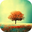 Logo Awesome Land Pro LiveWallpaper