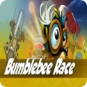 Logo Bumblebee Race