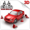 Logo Slalom Racing Simulator