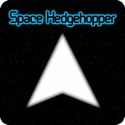 Logo Space Hedgehopper